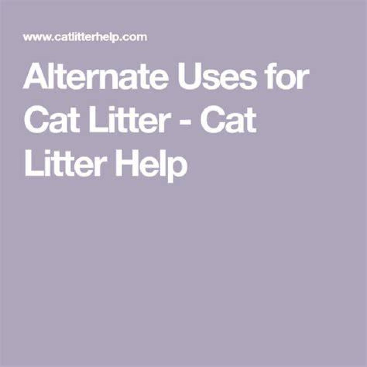 10 Alternate Uses for Cat Litter Your Need to Know