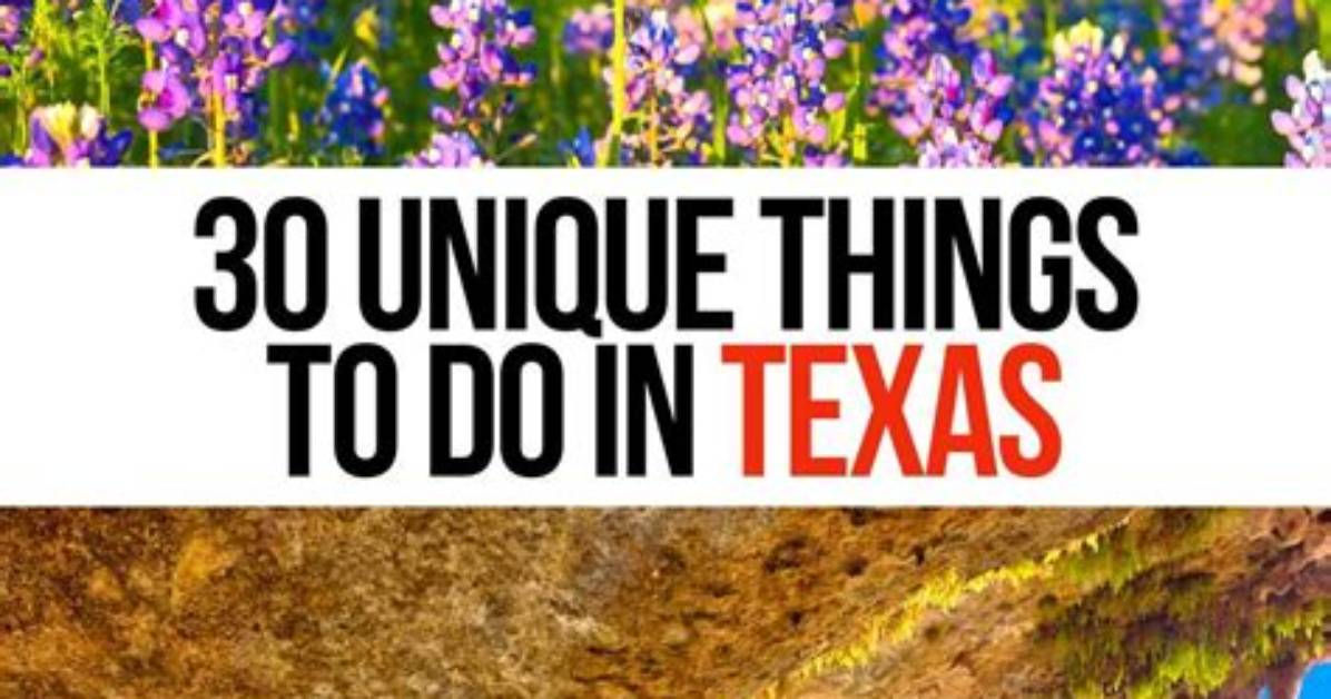 10 Fun Things to Do in South San Francisco
