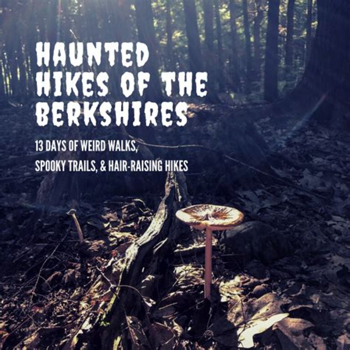 13 Days of Haunted Hikes in the Berkshires