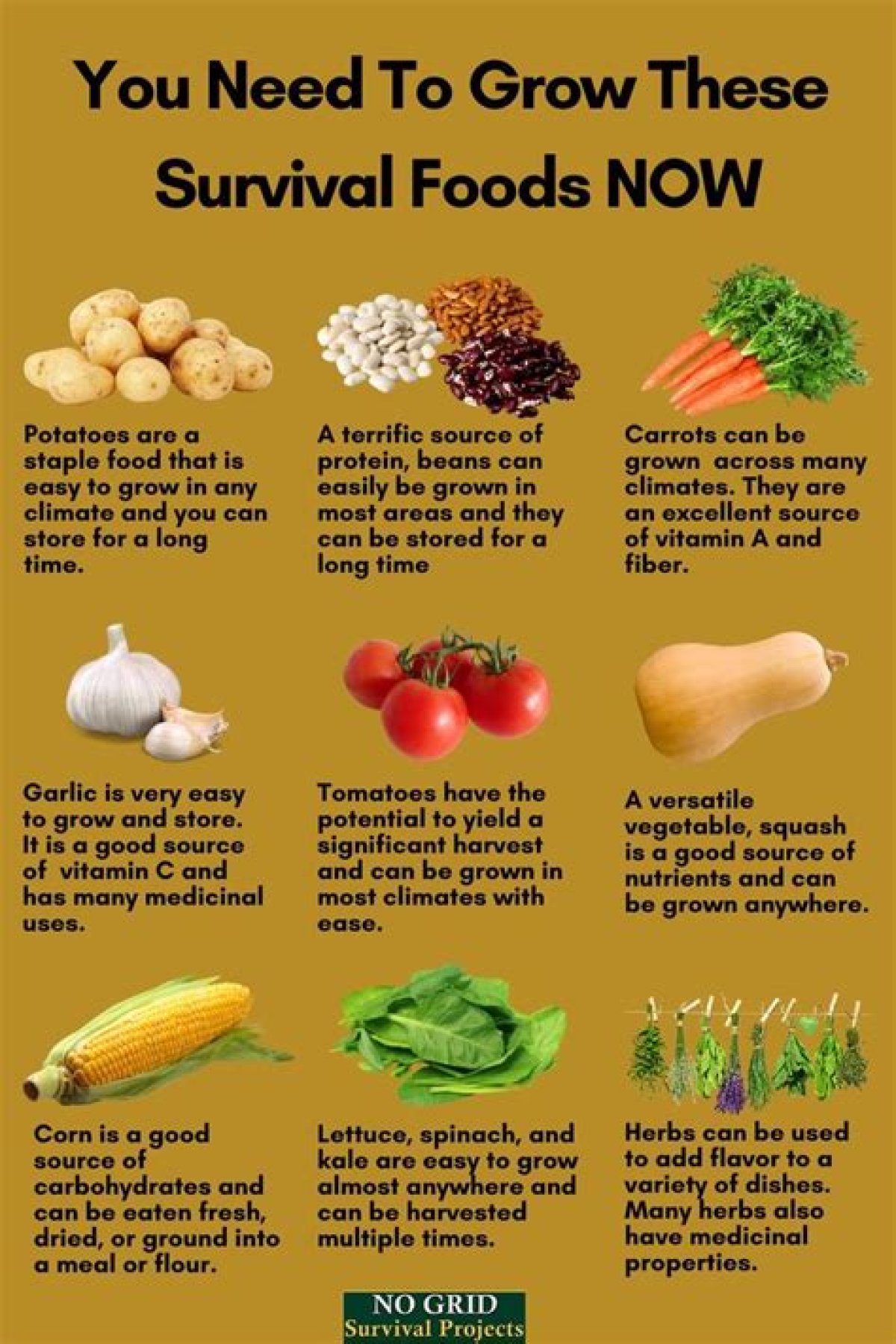 13 Foods You Need to Survive the Zombie Apocalypse