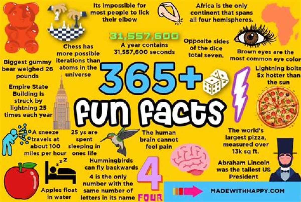14 Interesting Things to Know