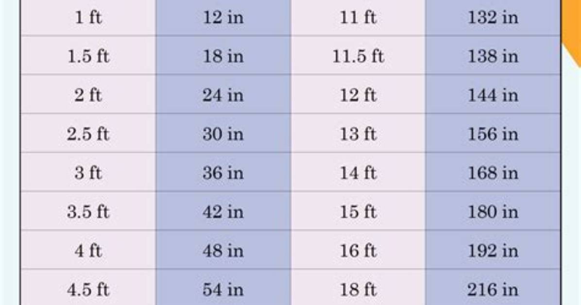 15 Cm to Feet and Inches