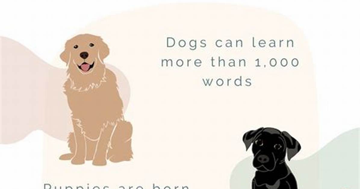 24 Must Know Dog Facts
