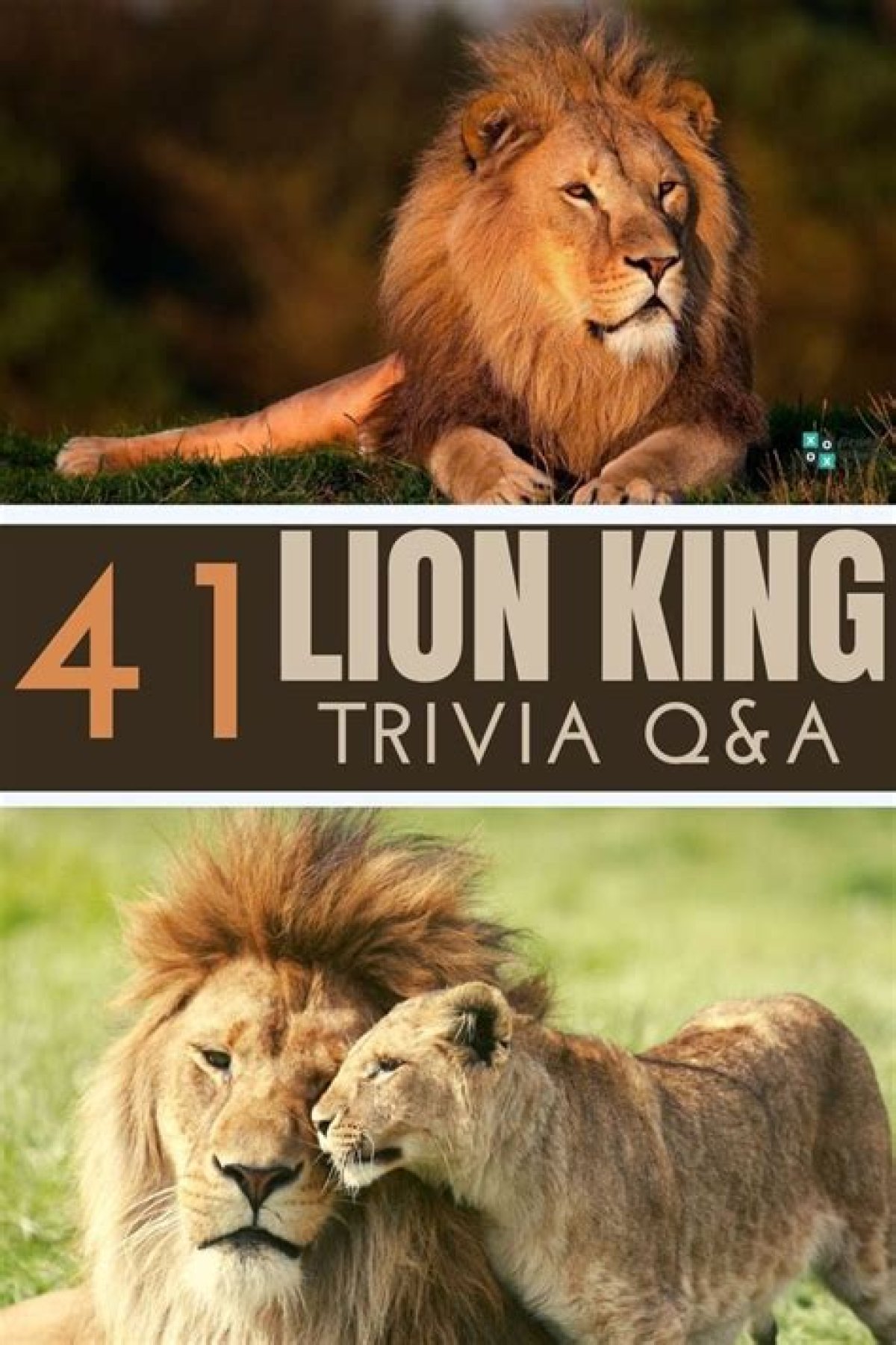 41 Lion King Trivia Questions and Answers