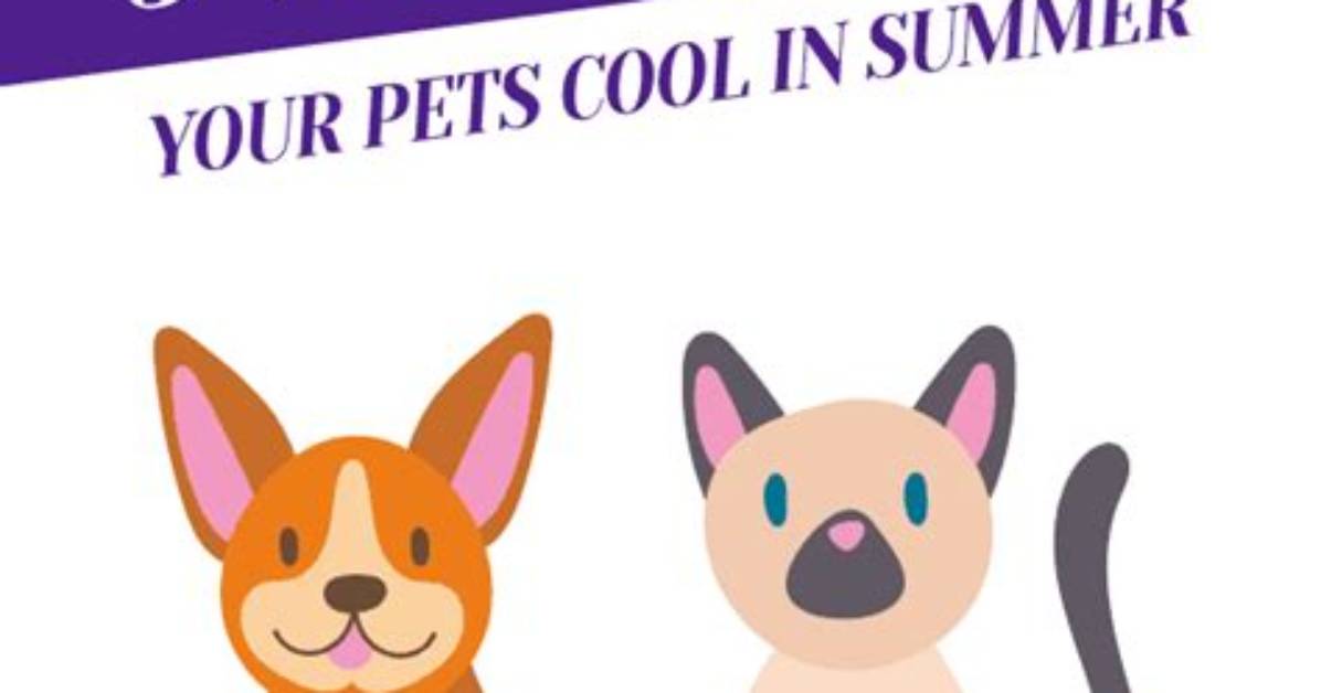 5 Ways to Keep Your Pets Cool and Safe in Hot Weather - Yp