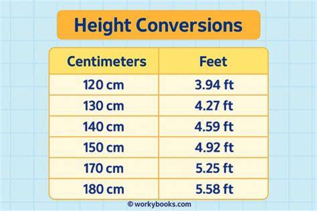 59.1 Cm to Feet and Inches