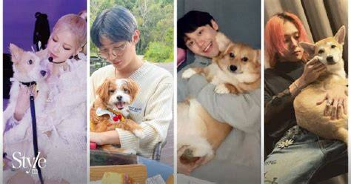 6 Korean Celebrities Who Adopted Abandoned Dogs, from Blackpink’s Rosé and Netflix’s Sweet Home Star Lee Do-Hyun, to Former Wanna One Member Yoon Ji-Sung