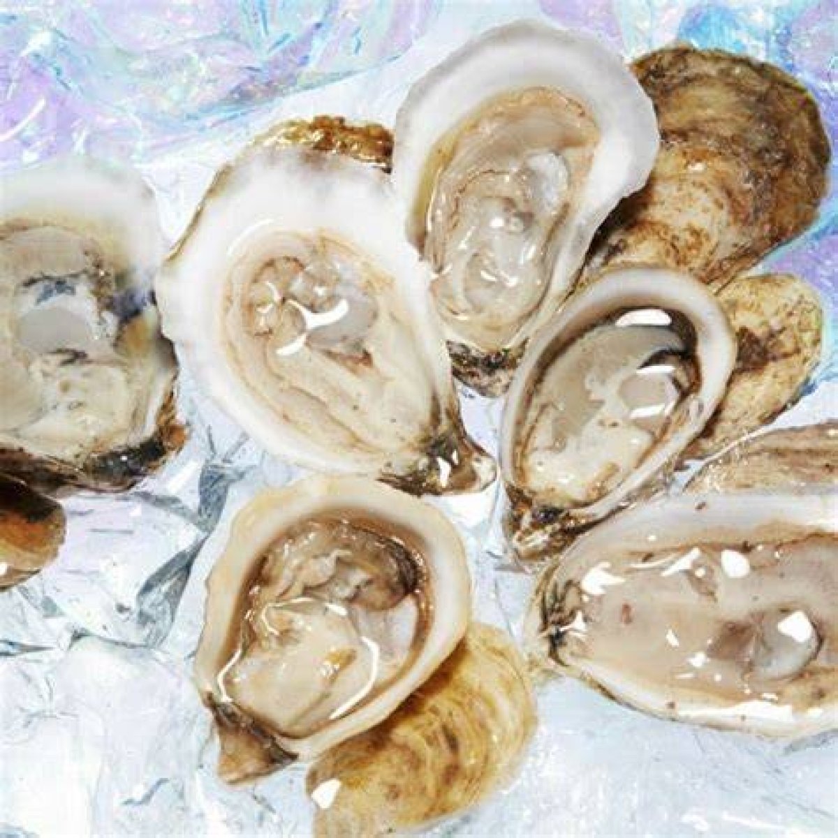 6 New Oyster Varieties Foodies Should Know About