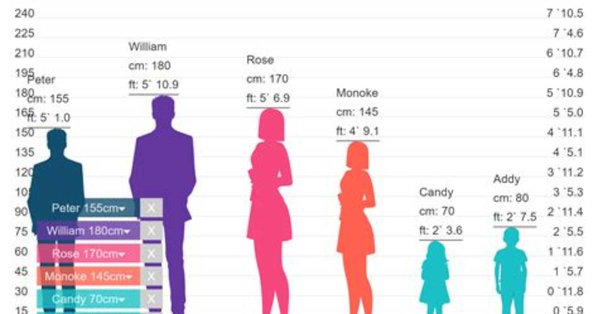 A Guide to ""Height"": 675