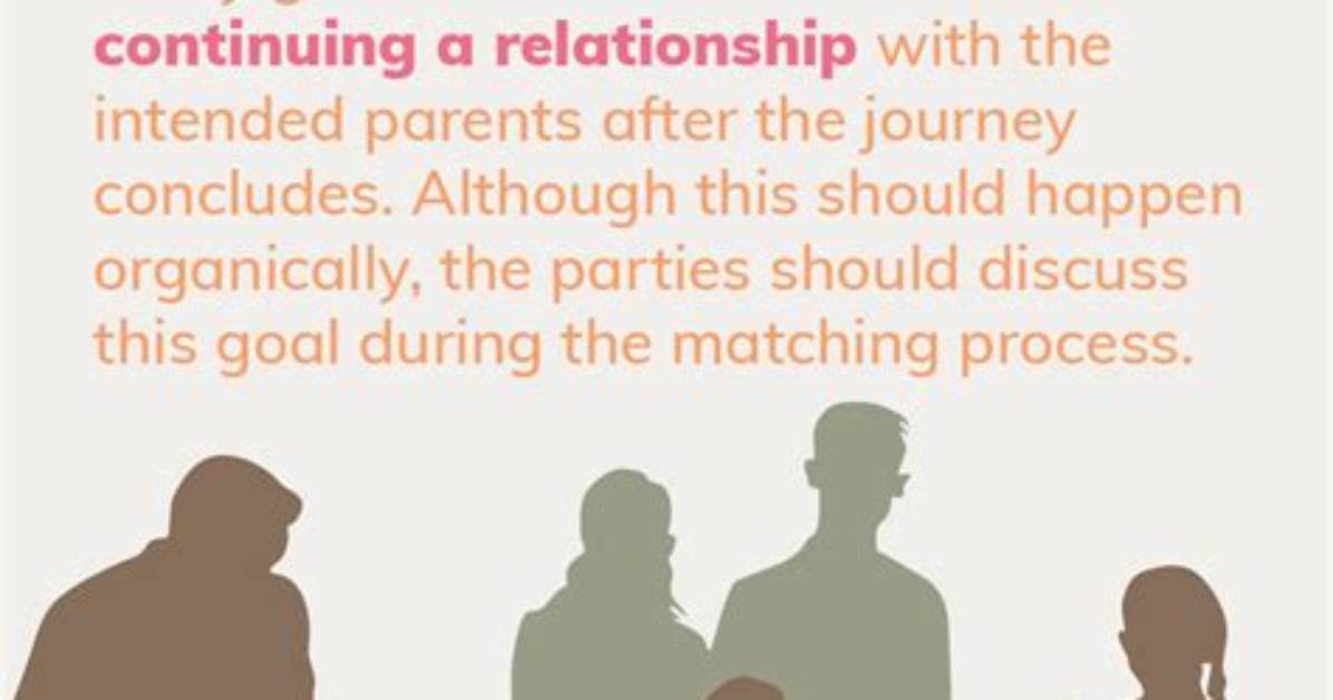 A Journey of Paternity and Relationships
