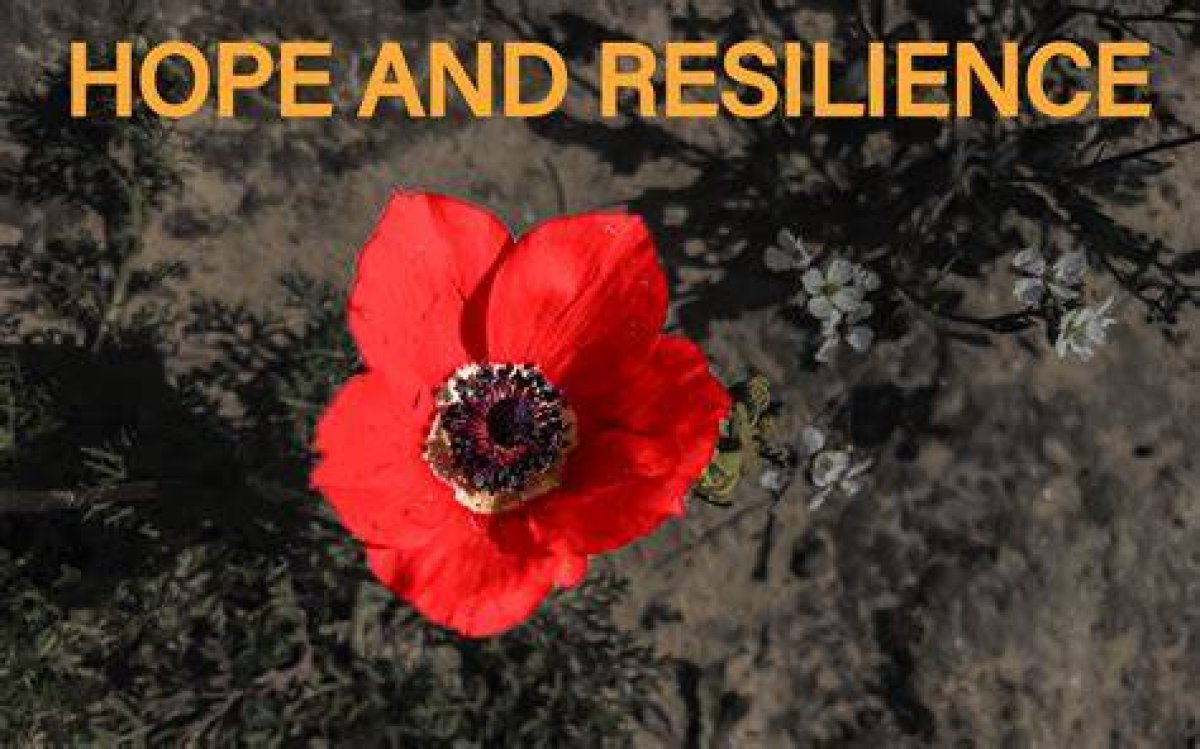 A Story of Resilience and Hope