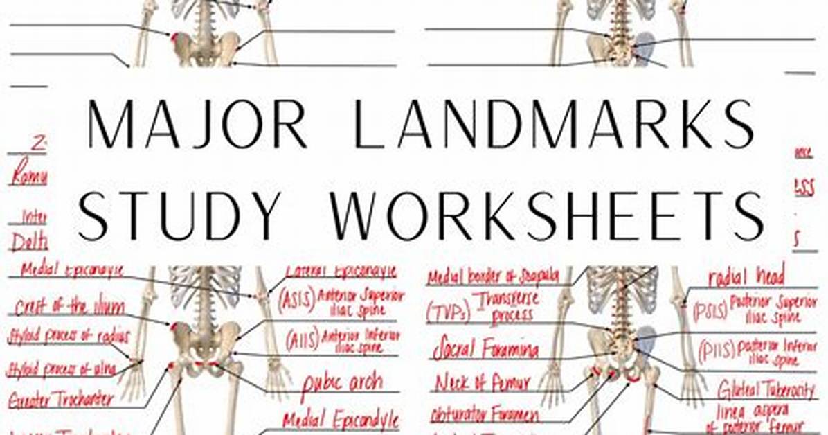 Anatomy Body Surface Landmarks Quiz