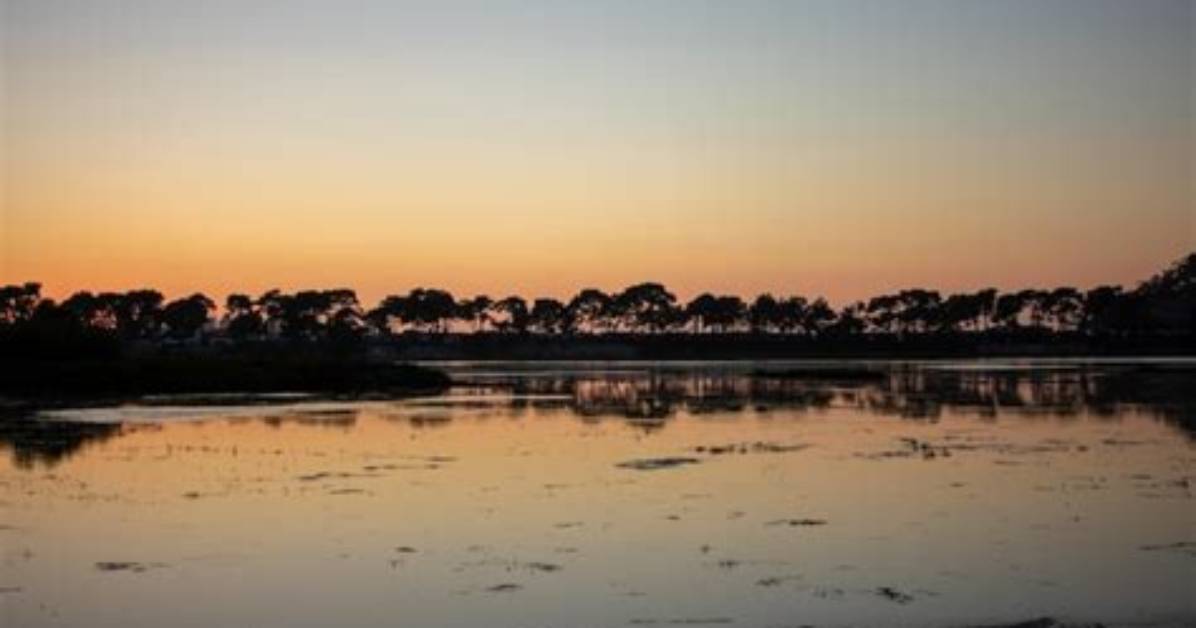 ___ and Flows (Varies Like the Tide)