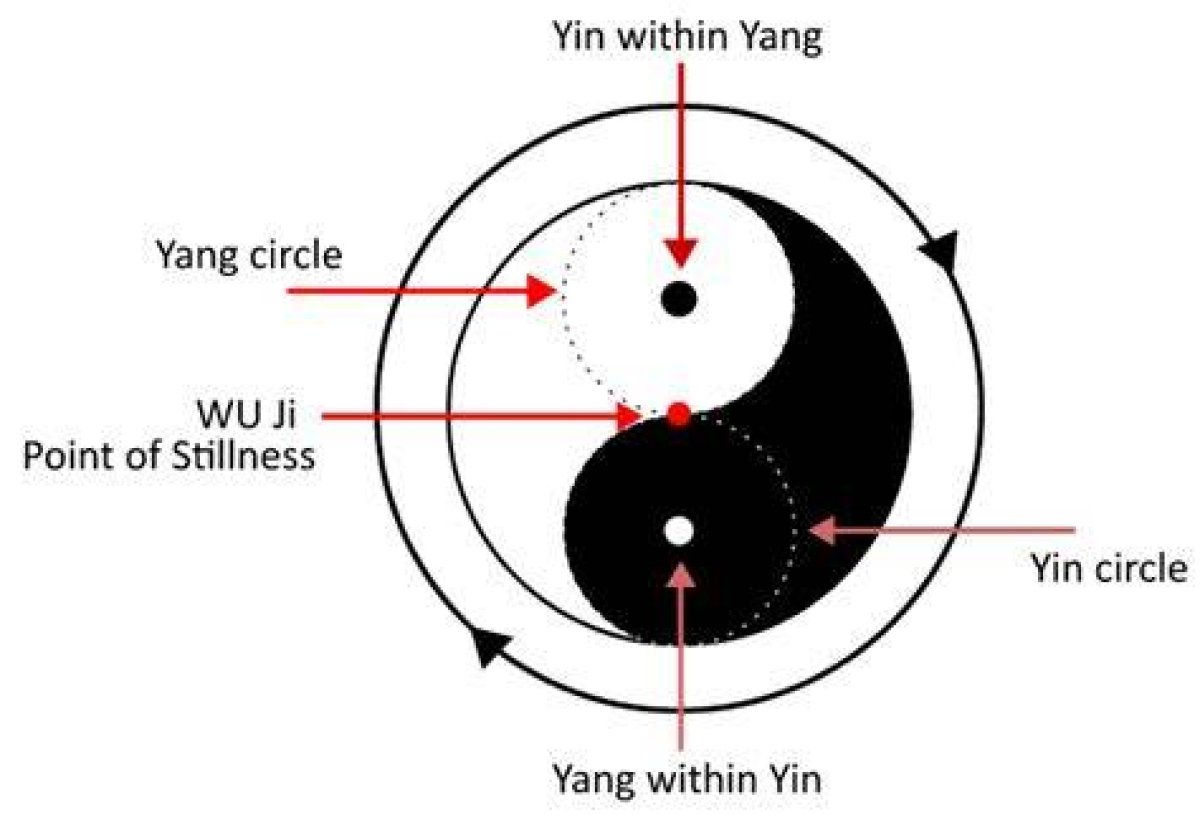 ___ and Yang (The Two Parts of a Chinese Symbol of Duality)