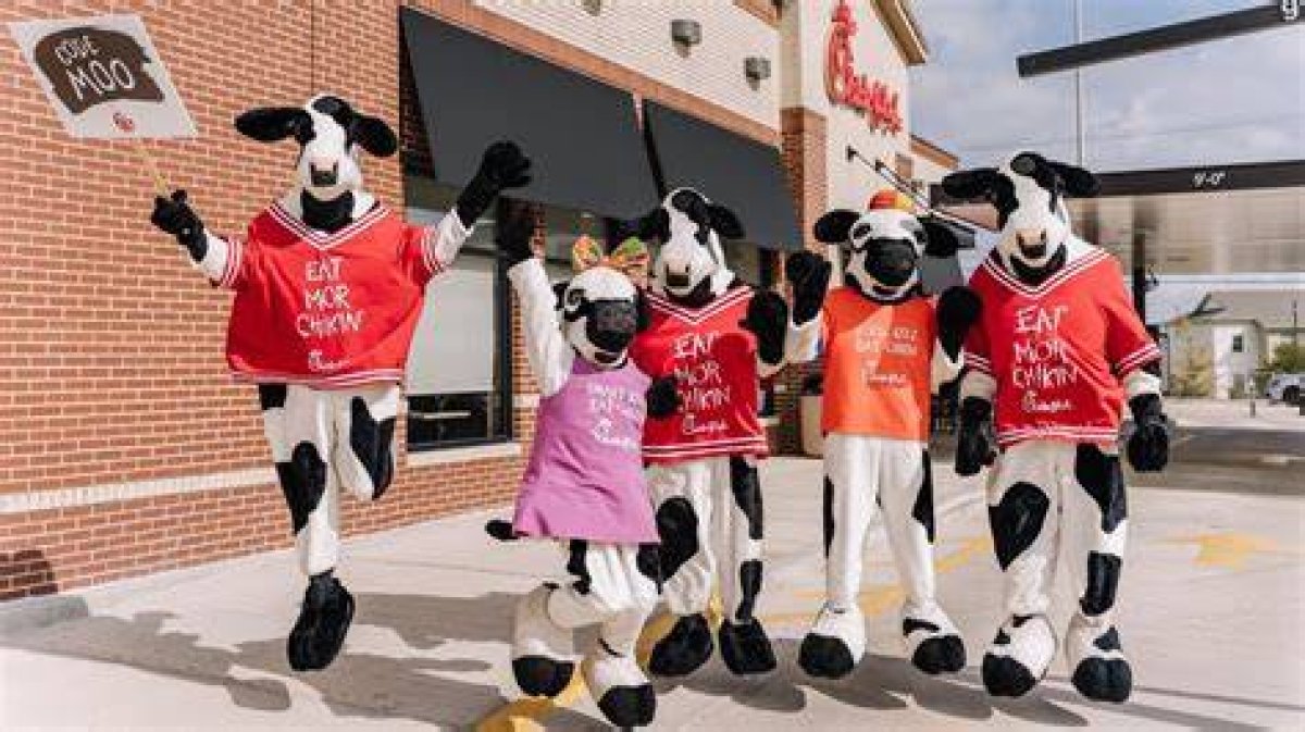 Animal Mascot of Chick-Fil-A