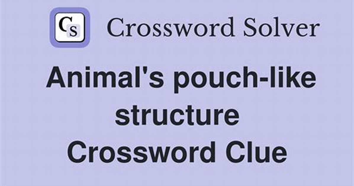 Animal's Pouch-Like Structure