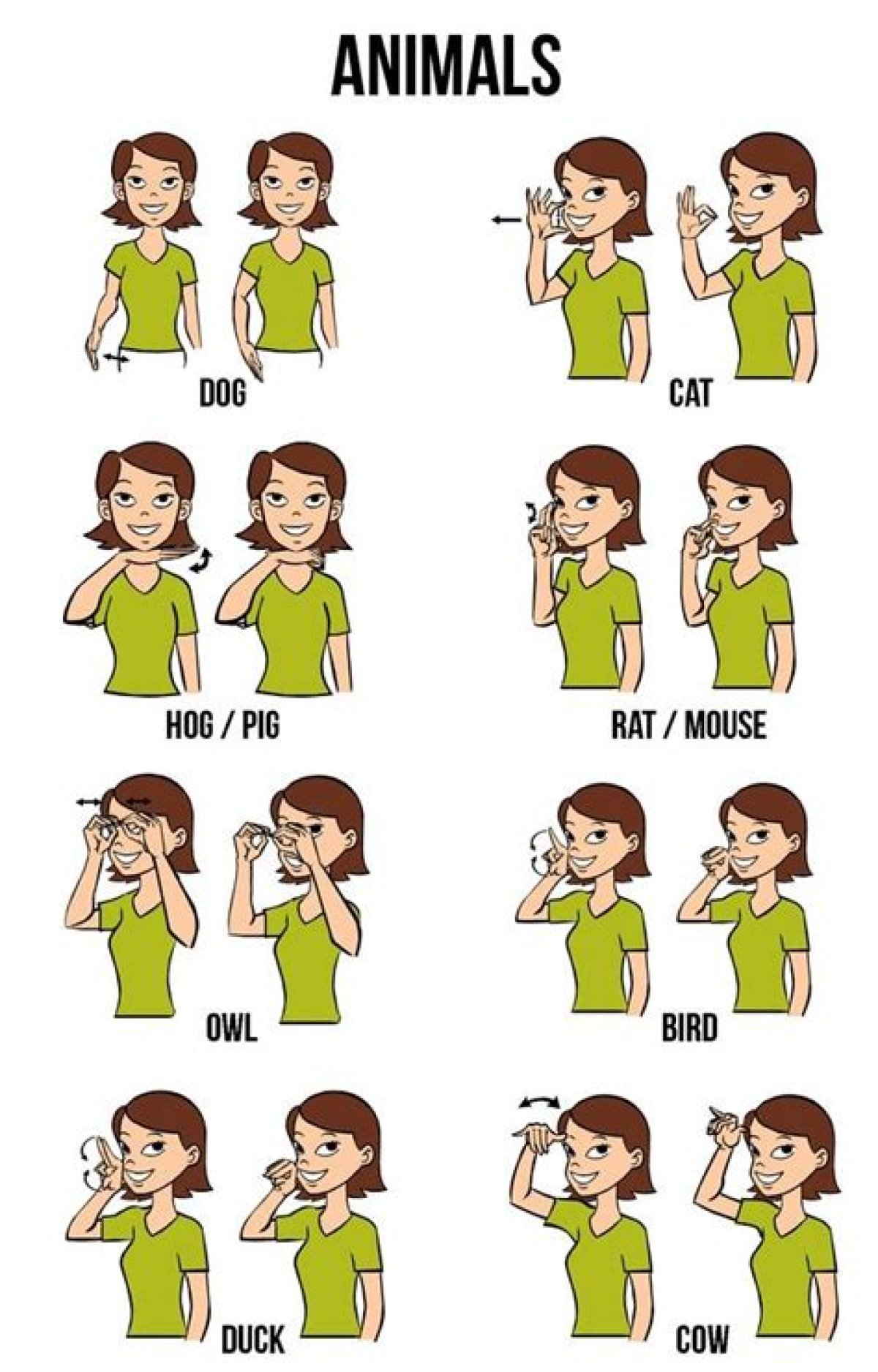 Animal That Can Learn Sign Language