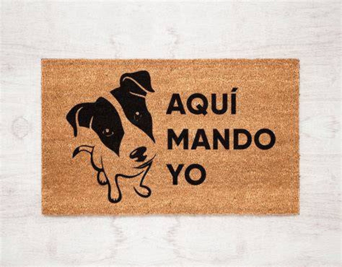 ¡Aquí Yo Mando! – Empowerment and Identity in the Modern Age