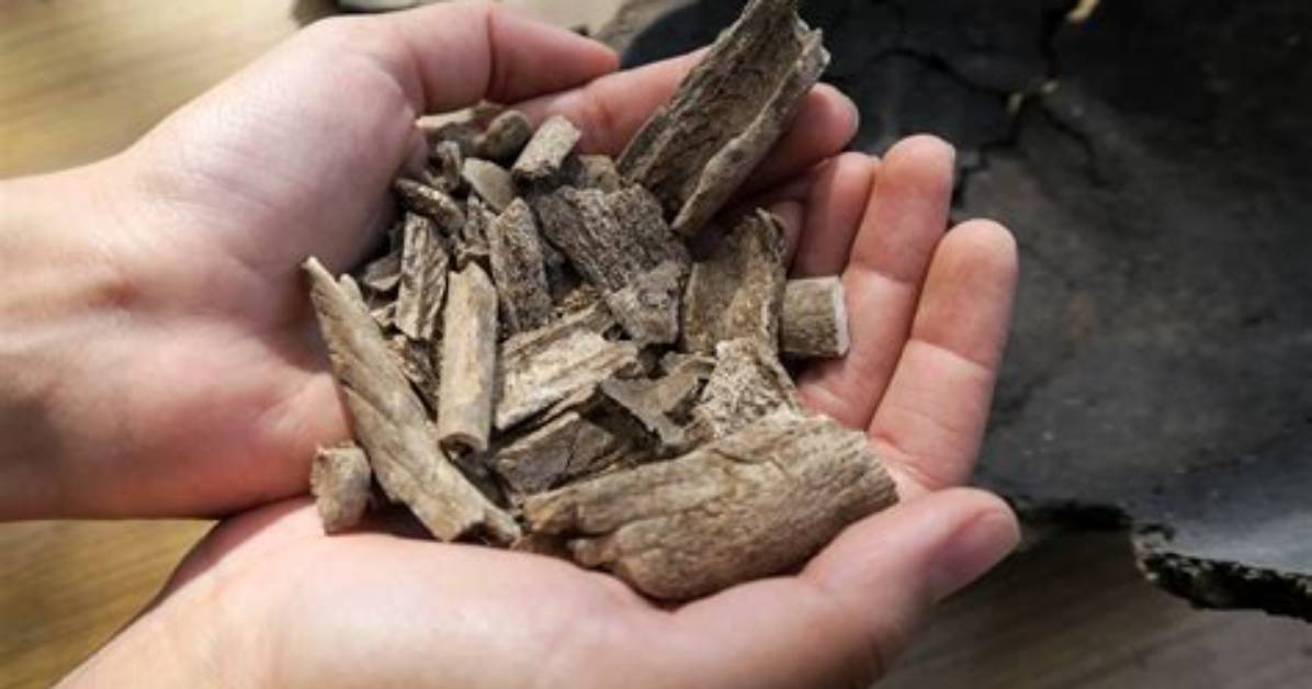 Archaeologists Find New Way to Determine Sex of Cremated Individuals | Nova