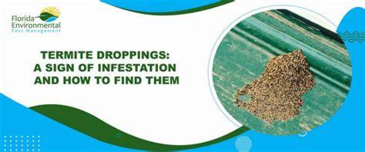Are Termite Droppings a Health Hazard?