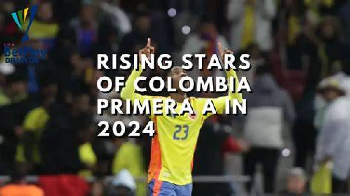 Ariadna Colombia: the Rising Star of the Digital World