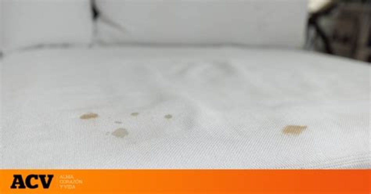 Así Puedes Quitar La Mancha Sin Mojarlo