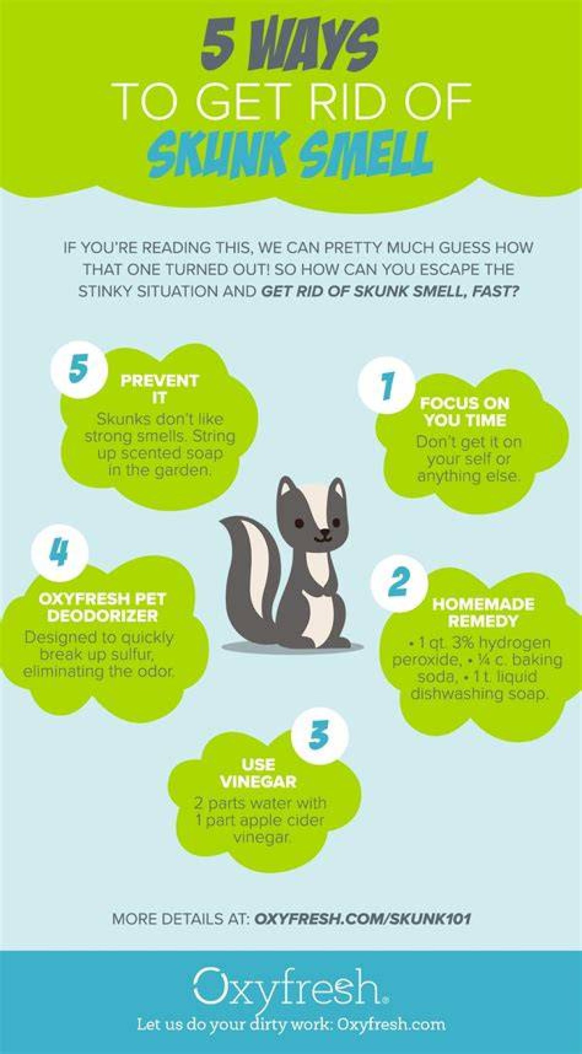 At Home Skunk Smell?