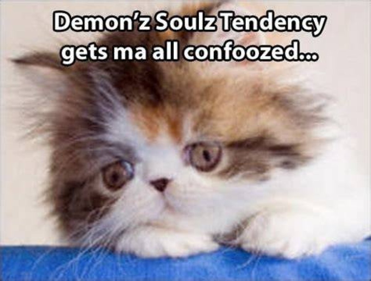 Atlus Goes All Lolcat on Us with Latest Demon's Souls Walkthrough