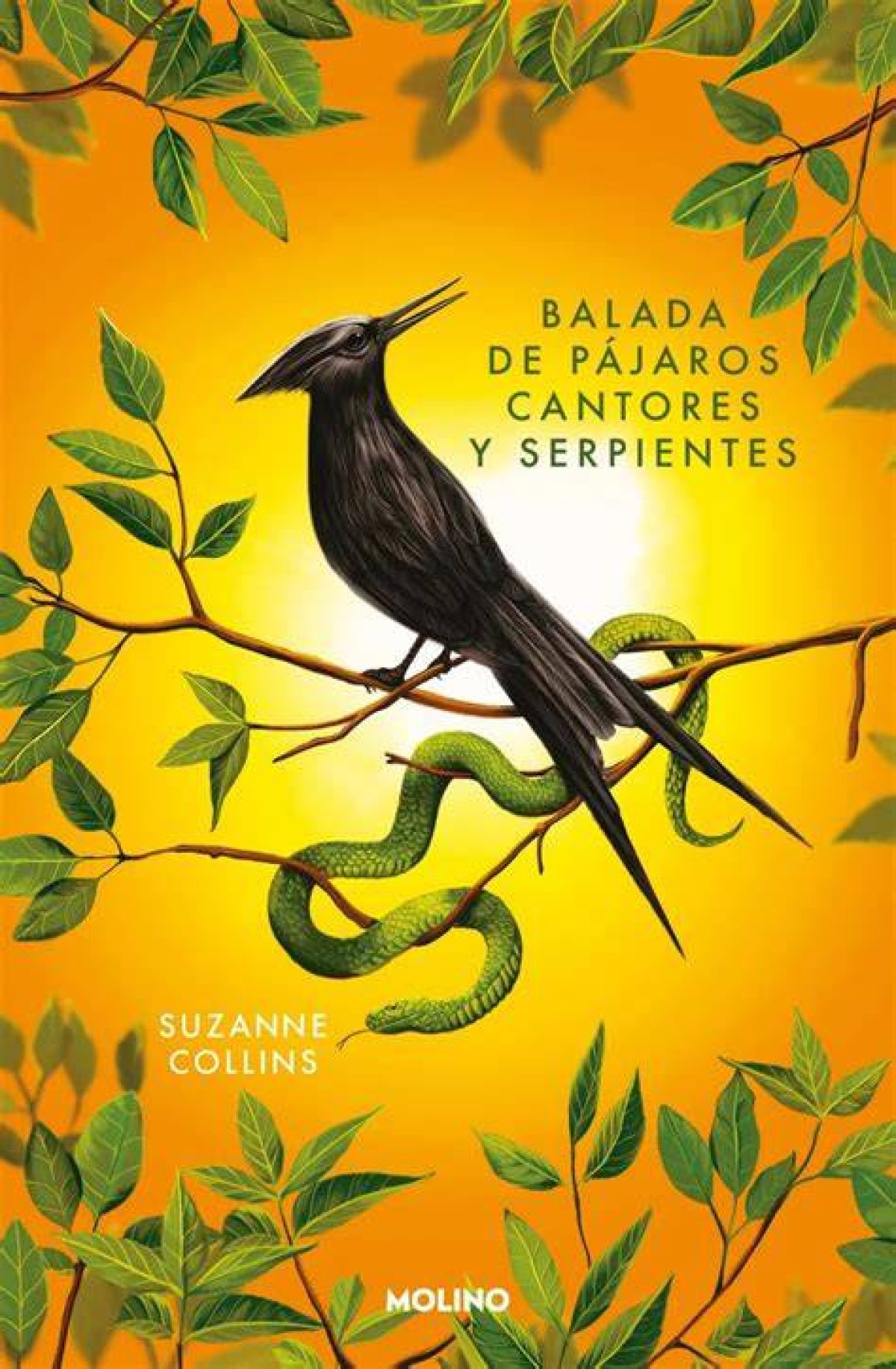 Balada De Pájaros Cantores Y Serpientes Conocido Hasta El Momento