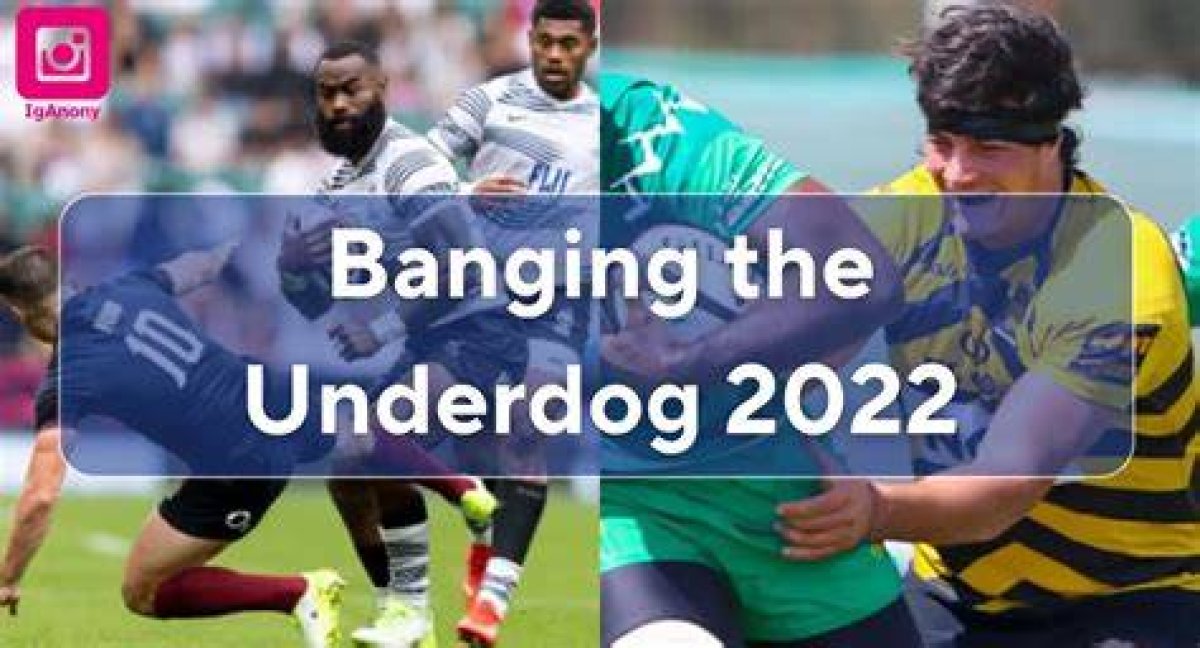 "Banging the Underdog" Incident 2022 Unveiled