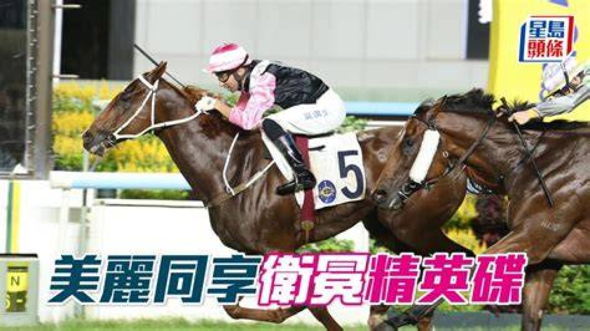 Beauty Joy (E058) 美麗同享 | Horses | Hk Racing