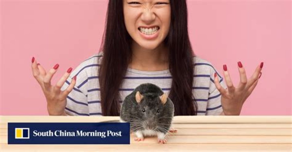 ‘Biggest Daredevil of 2023’: China Student Takes Revenge on Mouse That Bit Her by Sinking Teeth into Rodent’s Head, Shocking Mainland Social Media