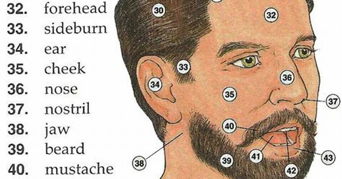 Body Part Below a Mustache