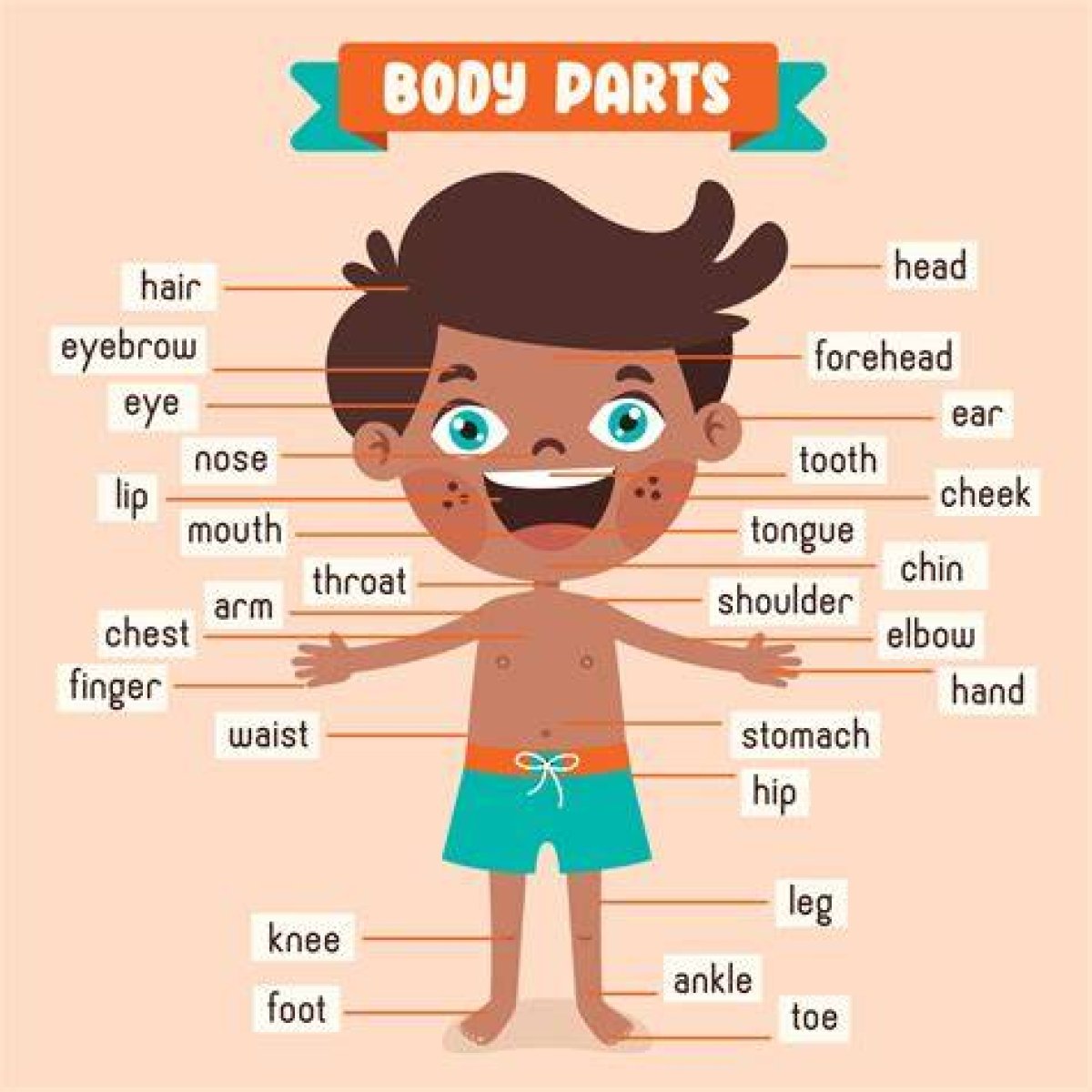 Body Part You'd Dandle a Baby On