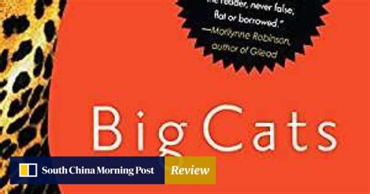 Book Review: Big Cats Is a Dazzling Collection of Stories