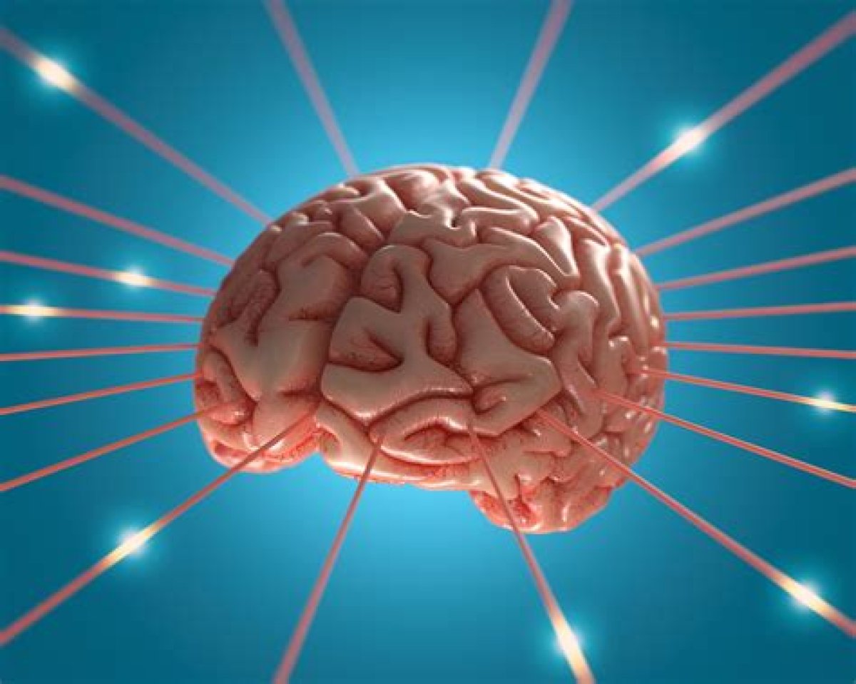Brain Game: If You Could Have a Conversation with Any Animal, Which Would You Choose, and What Would You Say? (Round 6) - Yp
