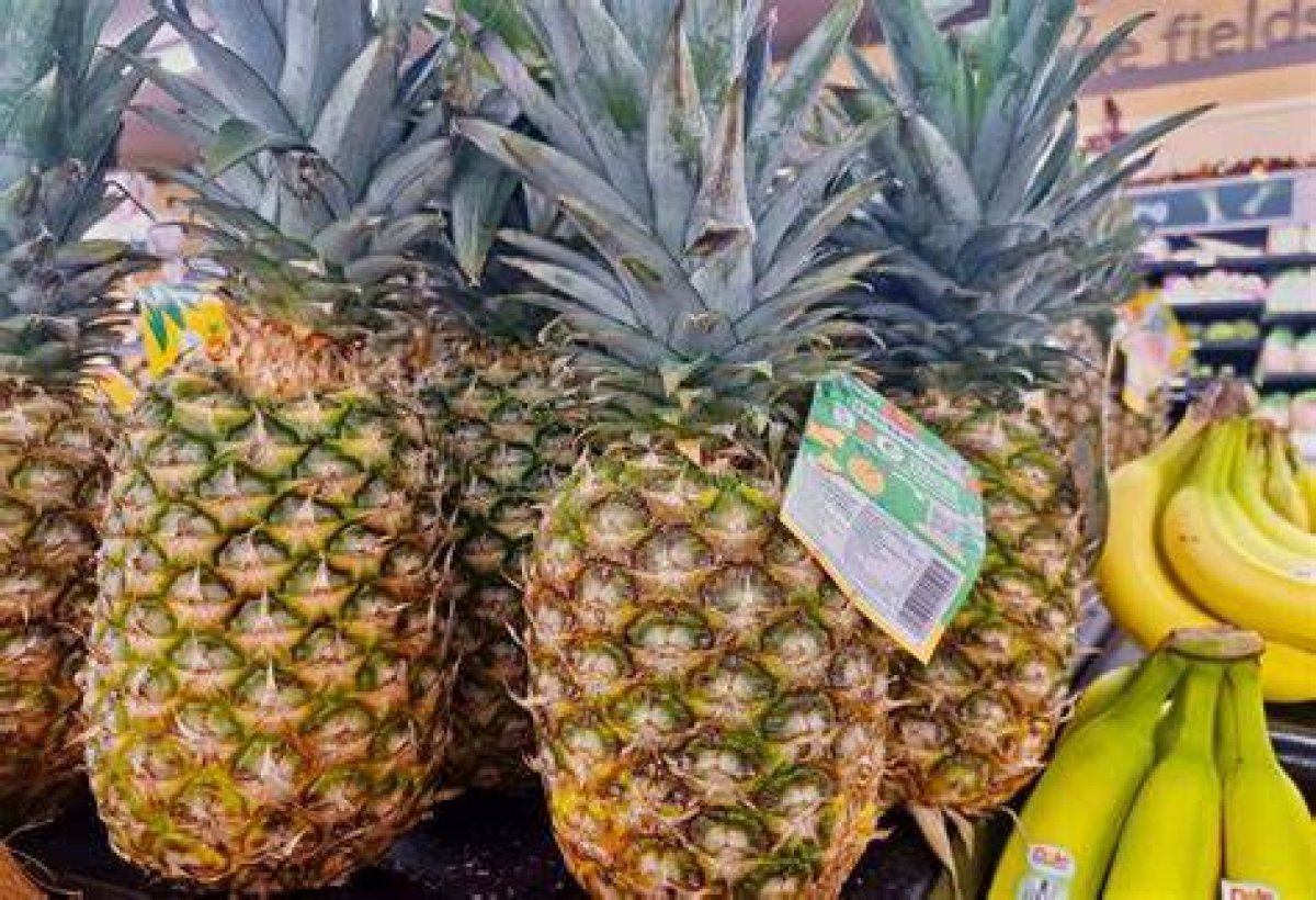 Brand of Fresh Pineapples and Bananas