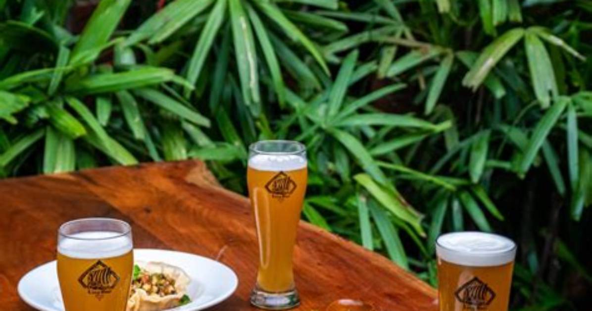 Brewery Drink