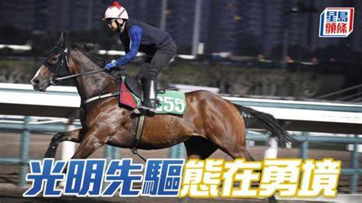 Brilliant Pioneer (G255) 光明先驅 | Horses | Hk Racing