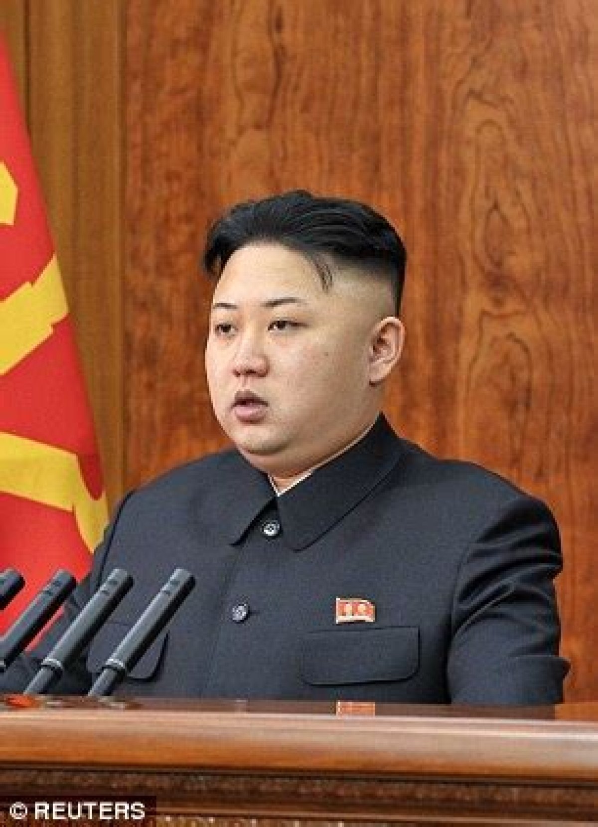 Brow You See Them: Kim Jong-Un Sports Bizarre Shrunken Eyebrows in 2015 Speech