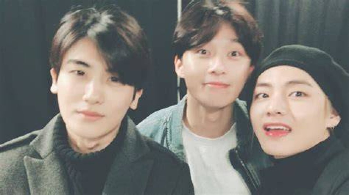 Bts' V, Jungkook, Park Hyung Sik, Choi Woo Shik, Kim Soo Hyun Attend Park Seo Joon, Iu’s Film Dream's Premiere