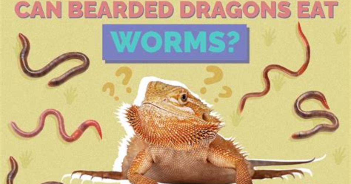 Can Bearded Dragons Eat Snakes?