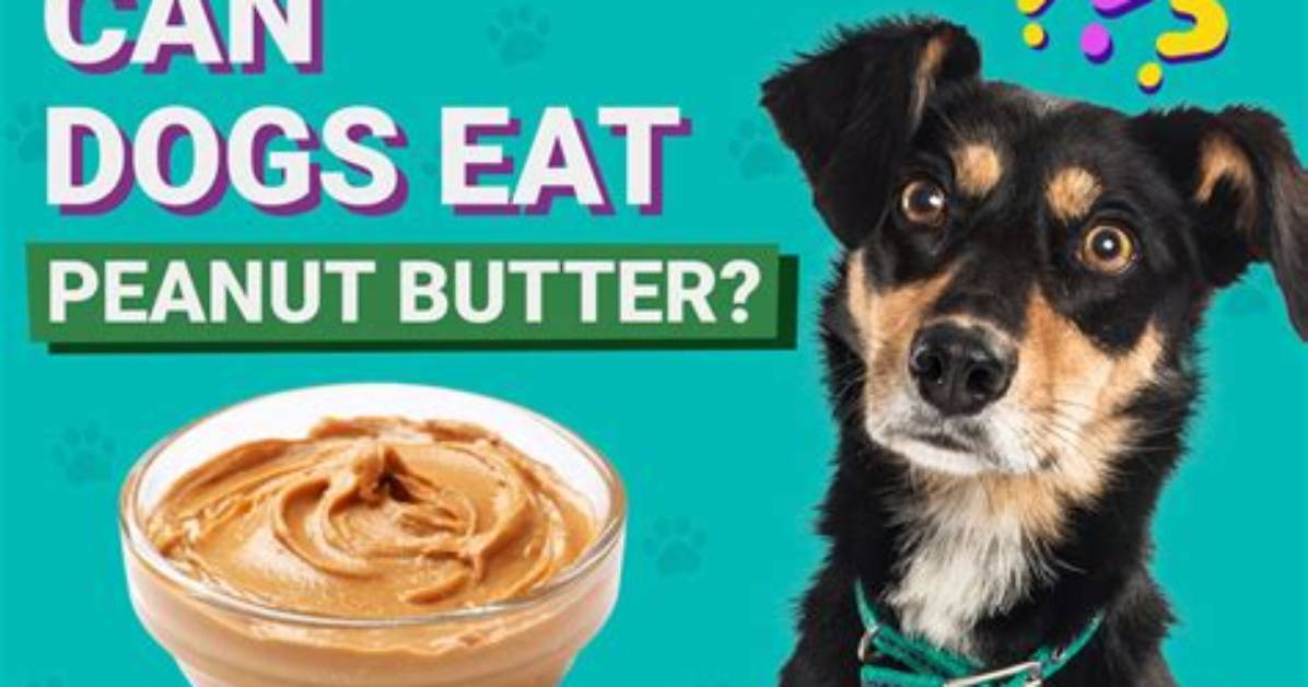 Can Dogs Eat Peanut Butter?