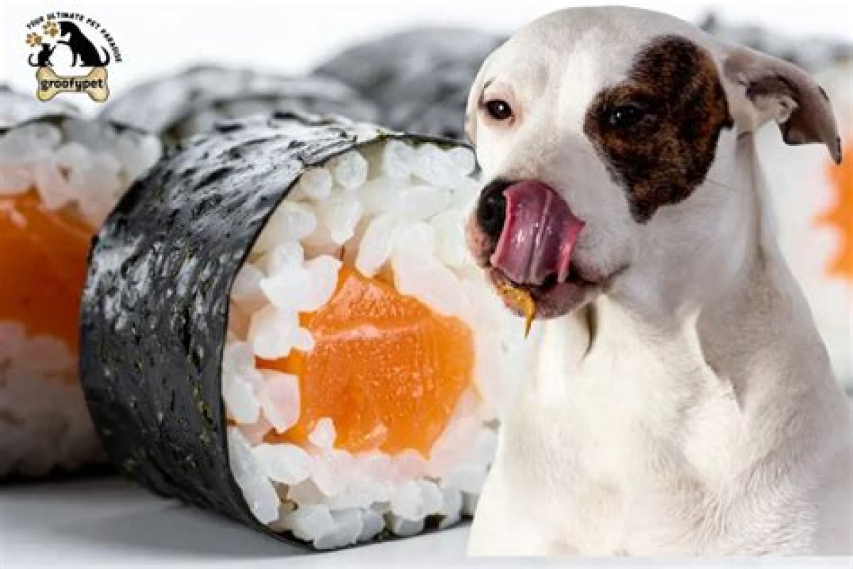 Can Dogs Eat Sushi Rice?