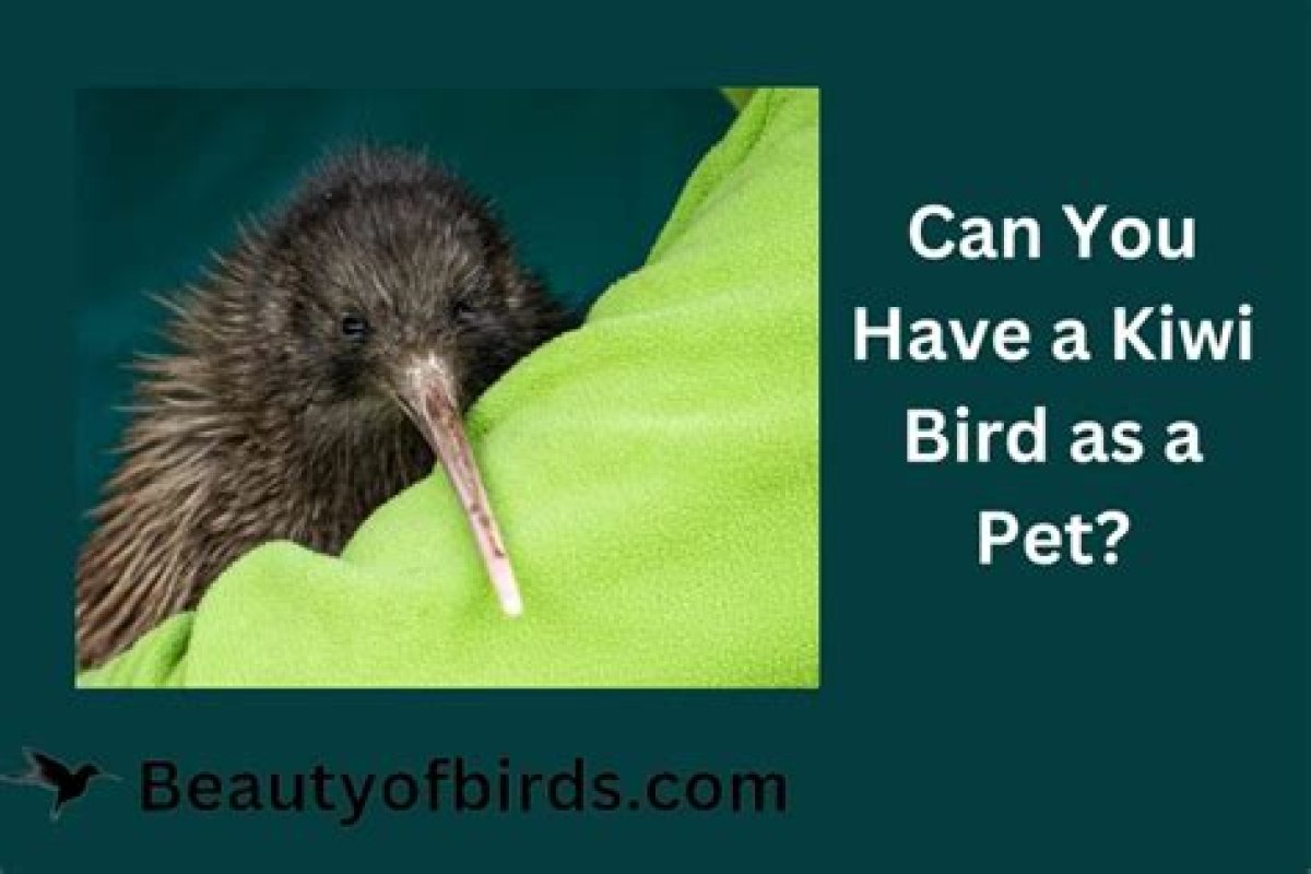 Can Kiwi Birds Be Pets?