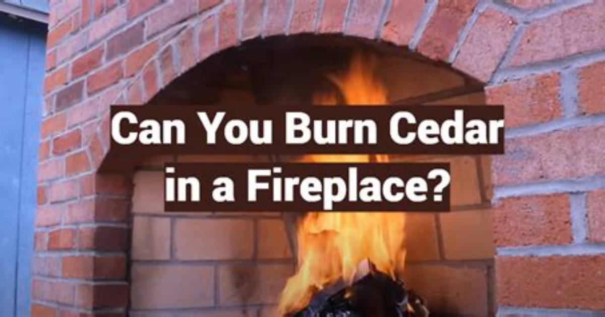 Can You Burn Hemlock in Your Fireplace?