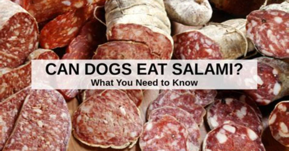 Can You Eat Salami on Atkins?