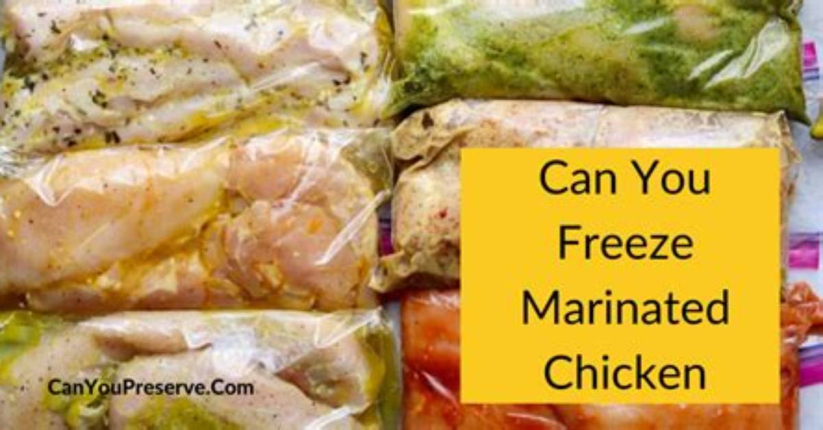 Can You Freeze Chicken Drippings?