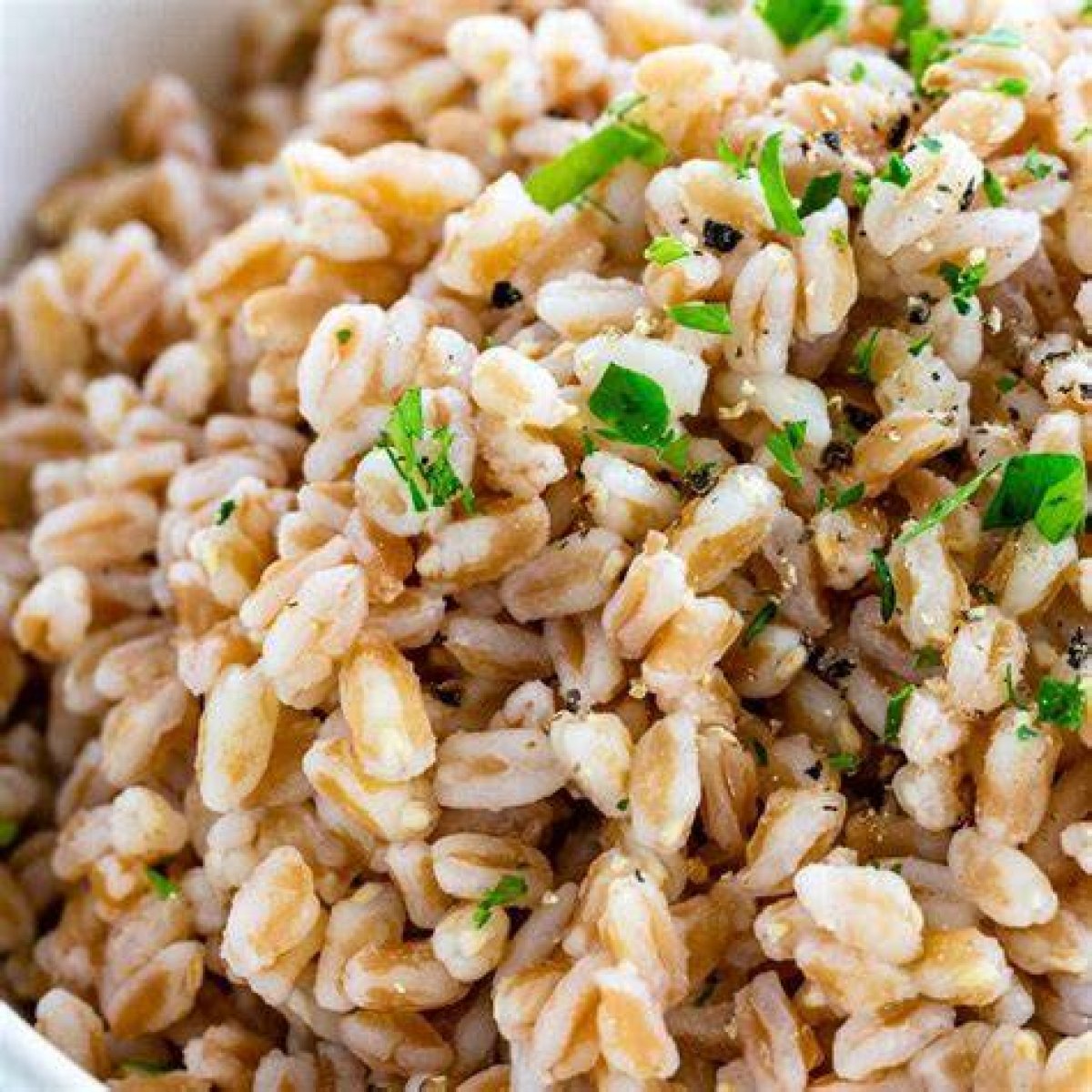 Can You Make Farro in a Rice Cooker?