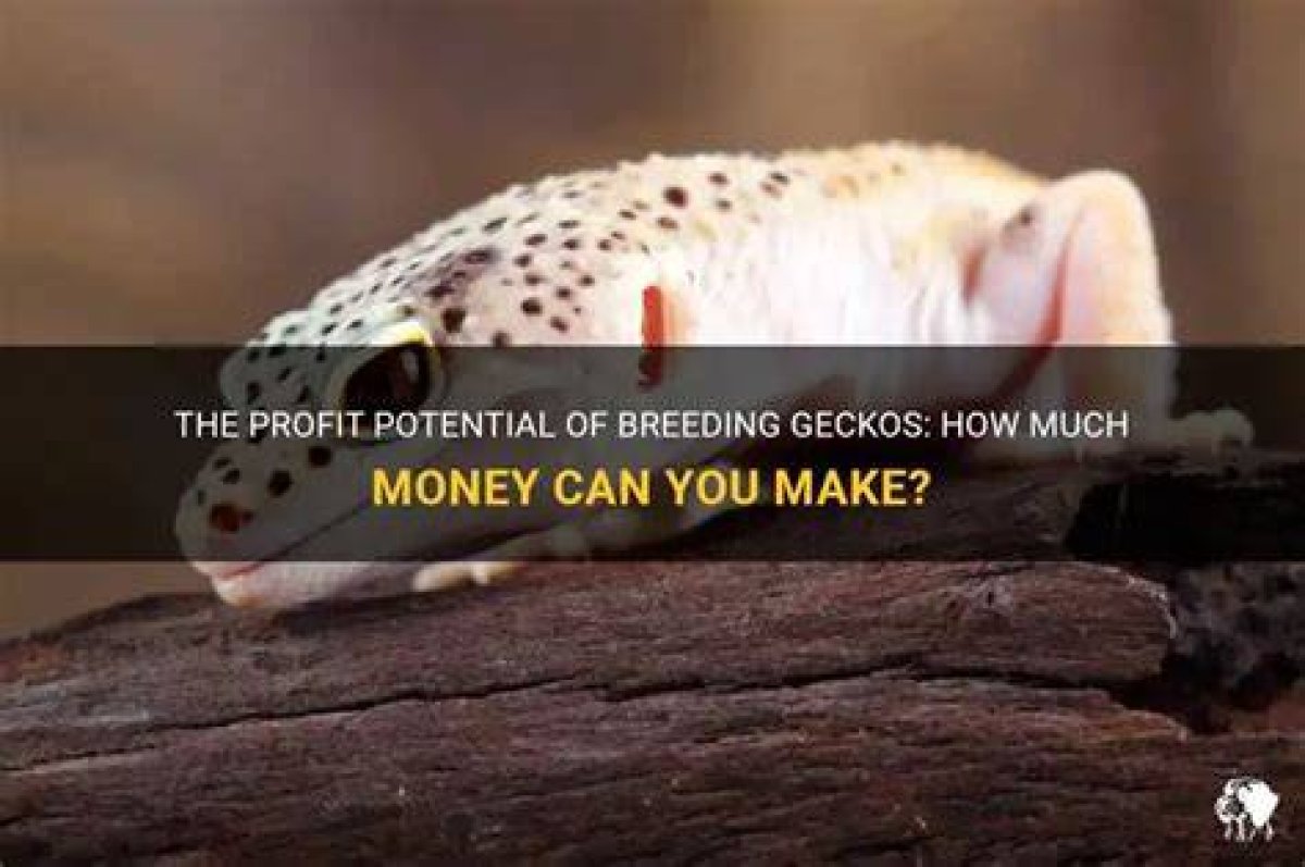 Can You Make Money Breeding Birds?